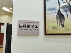 -美联众合动物医院·24h转诊中心