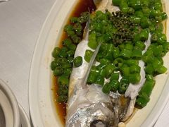 -老吉士酒家(天平路店)