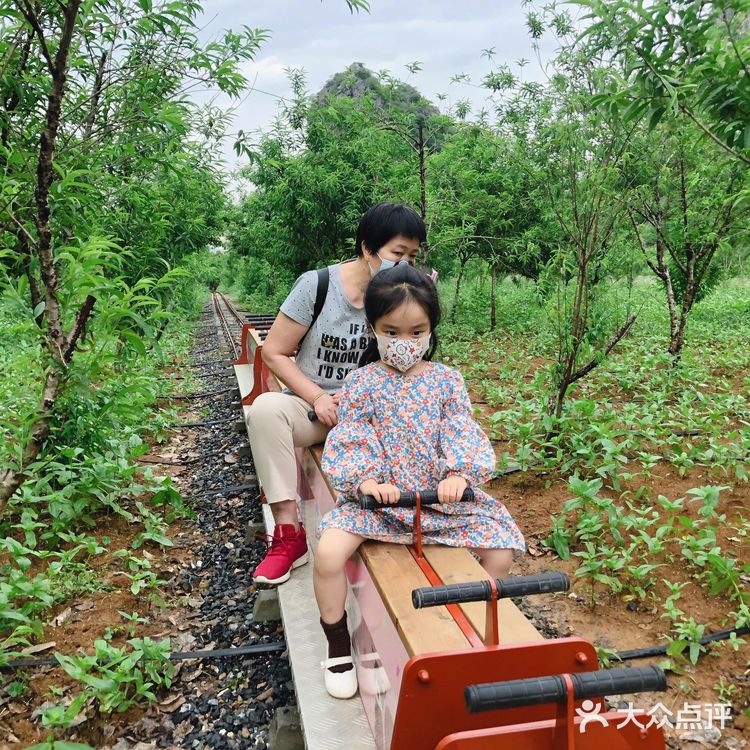 置身花海小火车