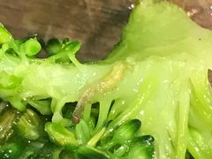 -比格比萨自助(赛罕区万达广场店)