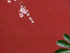 -钱王祠