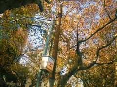 -常熟路(地铁站)