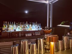 -瑰丽酒店·海吧·天际下午茶·现场DJ·天台酒吧