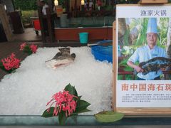 -渔家火锅·海鲜自助餐·演艺(亚龙湾天域酒店)
