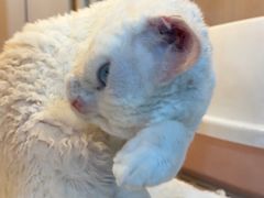 -乐宠宠物店(世纪金源店)