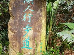 -深圳仙湖植物园