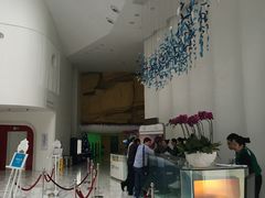 -深圳东部华侨城瀑布酒店