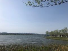 -绿堤公园