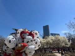 -睦南公园