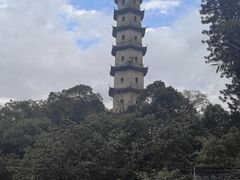 -江心屿景区