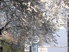 -雍和宫(地铁站)