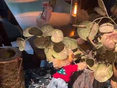 -咖法森林·咖啡  酒吧(天河店)