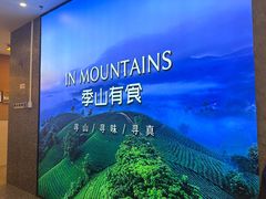 -季季山·云南野生菌火锅(上海首店)