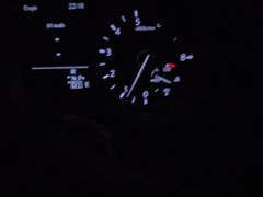 -锦尚阁烤鱼(望京新荟城店)