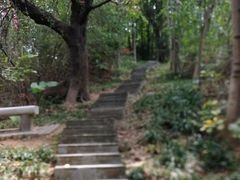 -广州雕塑公园