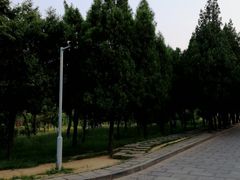 -嵩山少林文化旅游景区