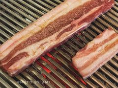 黑猪五花肉-莫嘎(乌鲁木齐中路店)