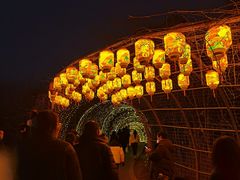 -大塘金香草谷
