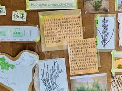 -阿里中心·杭州Z空间