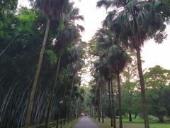 -华南国家植物园-售票处