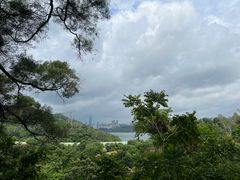 -深圳仙湖植物园