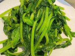 清炒豆苗-鼎泰丰(国贸商城店)