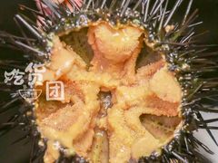 -半岛翡丽海鲜自助餐厅(观风亭店)