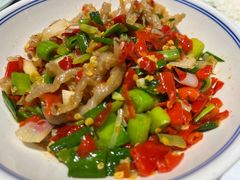 -壹盏灯(惠农店)