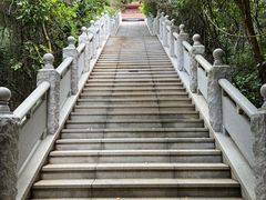 -雁南飞茶田景区