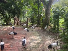 -吉隆坡雀鸟公园