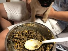 -翊宠yipet猫狗购宠庄园犬舍•猫舍