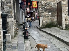 -羊楼洞