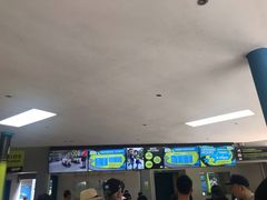 -圣淘沙天际线斜坡滑车