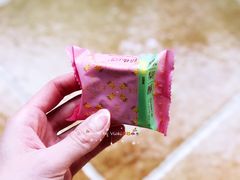 -微热山丘(桃园机场店)