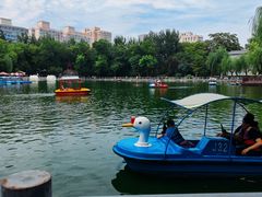 -莲湖公园