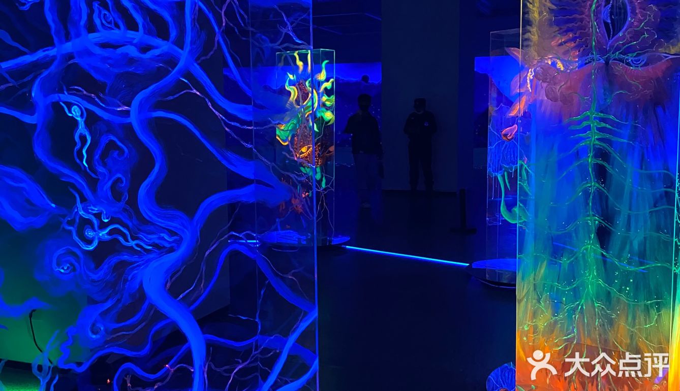 阿雅个展！白夜神话！西安美术馆五一太给力啦！