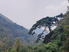 -泰山风景名胜区
