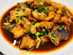 -全乐鱼馆·淳牌有机鱼直营店