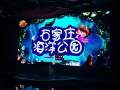 -石家庄海洋公园