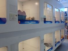 -1013 PET SHOP 宠物商店(近铁城市广场店)