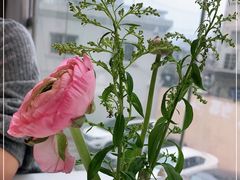 -潮州府·潮菜·砂锅粥(徐家汇店)