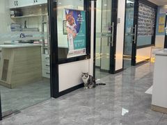 -贝康宠物医院·犬猫全科·小动物特色诊疗中心(东环路店)