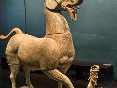 -广西壮族自治区博物馆