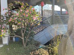 -雅达·阳羡溪山小镇中心