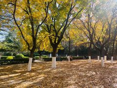 -山东师范大学(千佛山校区)