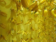 -福州奇幻解压馆(东泰禾旗舰店)