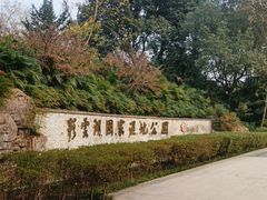 -重庆彩云湖湿地公园