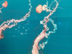 -多彩贵州城极地海洋世界