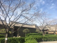-山西王家大院