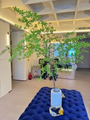 -TIME SPA科技美肤机构